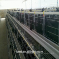 Certificación ISO equipo completamente automático capa especial jaula de pollo